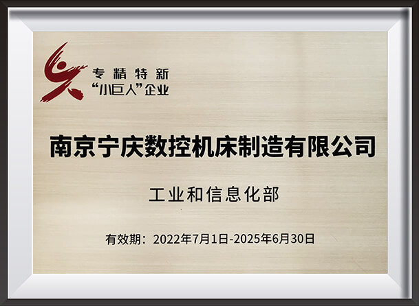 Specialized, Sophisticated, Differentiated and Novel Little Giant Enterprise 